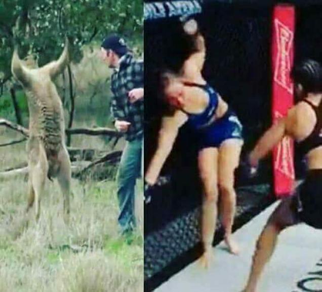 21 Hilarious Ronda Rousey Memes