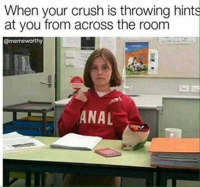 47 Great Pics And Memes to Improve Your Mood