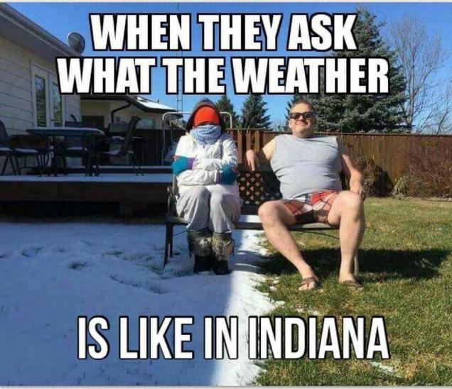 31 Great Pics And Memes to Improve Your Mood