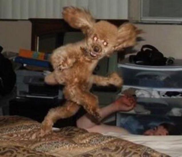 32 Cursed Images For a Sleepless Night