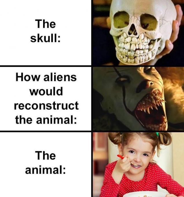 28 Crazy How Aliens Would Reconstruct That Animal Memes