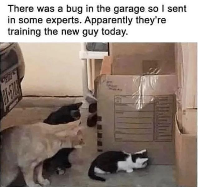 20 Fresh Memes of the Dankest Kind