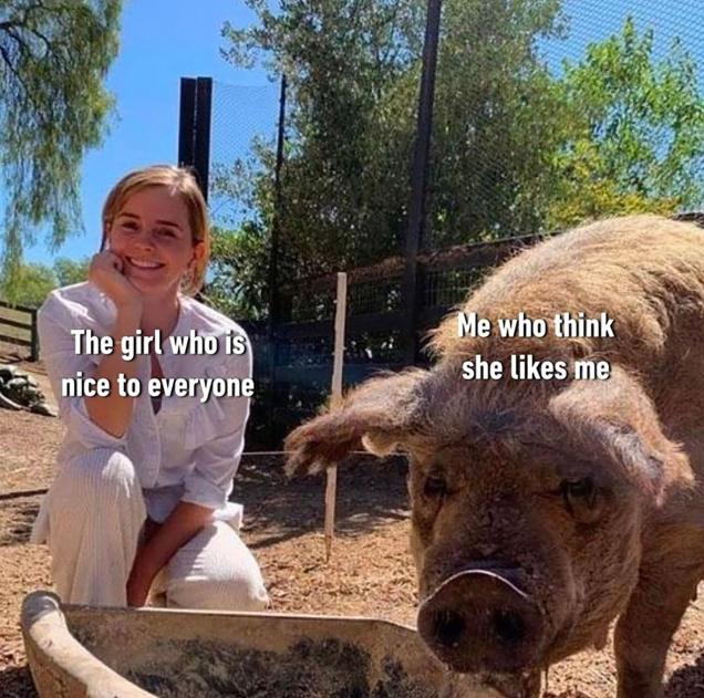 21 Pics and Memes to put you into the Weekend Mood