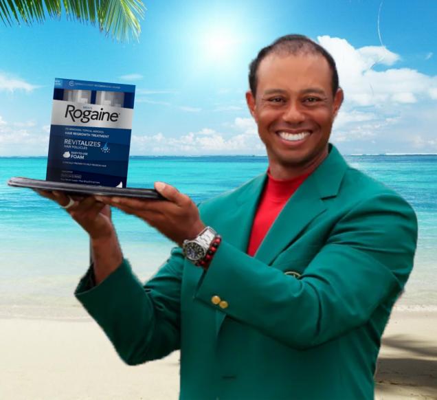 TIGER WINS MASTERS BUT LOSES HAIR - Picture | eBaum's World