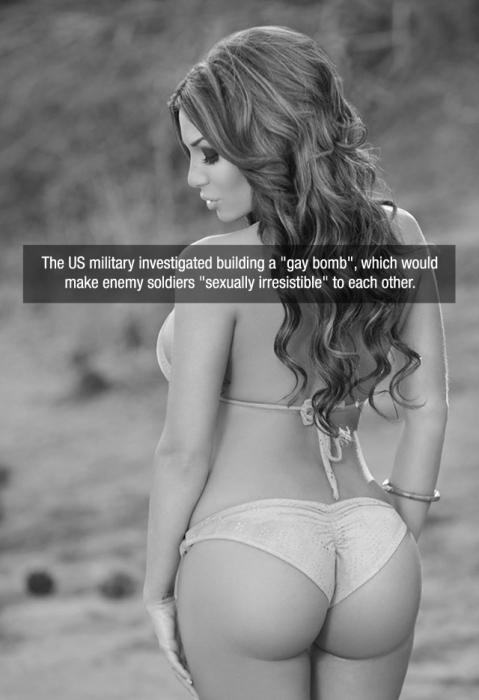 37 Beautiful Babes and Fascinating Facts to Satisfy Your Needs