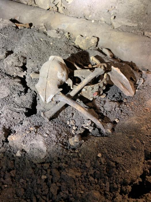 20 Things During Structural Inspections That Will Make You Cringe