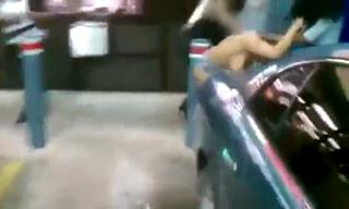 Cat Fight Turns Into Dance Party