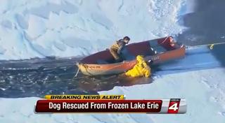 Rescuers Save Dog From Lake Erie