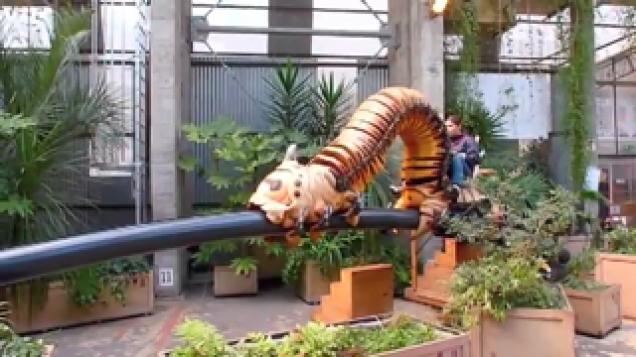 the-world-s-slowest-rollercoaster-video-ebaum-s-world