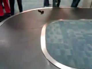 Someone Left Their Baggage On The Carousel