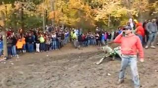 Man On Cellphone Casually Avoids Disaster
