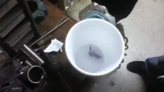 Cockroach vs Liquid Nitrogen