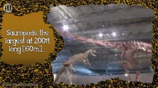 10 Things You Didn't Know About Dinosaurs. - Video | EBaum's World