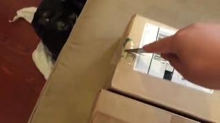 Ebay Scammer Receives Karma