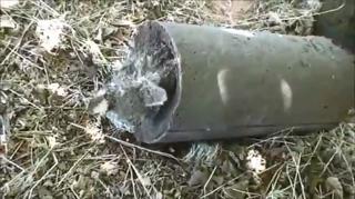 Cat Burried In Cement Lives! - Video 