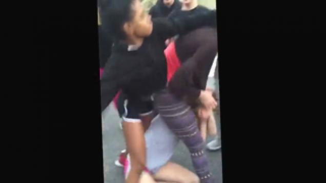 Squad vs ratchet hoes