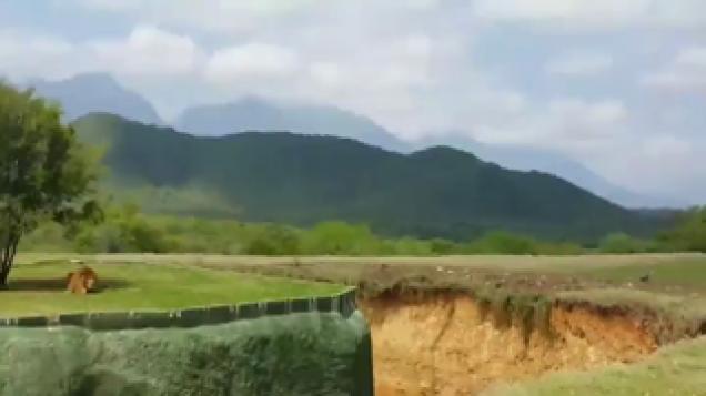 Lioness tries to jump and attack a bunch of tourists