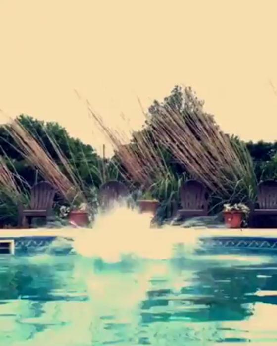 Diving Board Malfunction Wtf Video eBaum's World