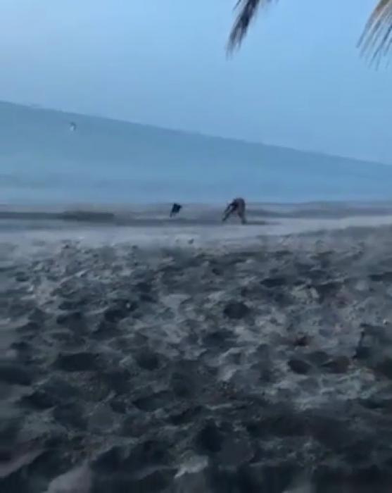 Hilarious Instant Karma