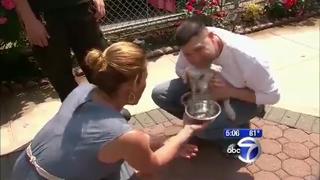 Dog found Duct Taped and Beaten in Bronx