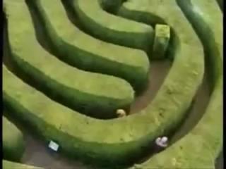 Hilarious Maze Fail