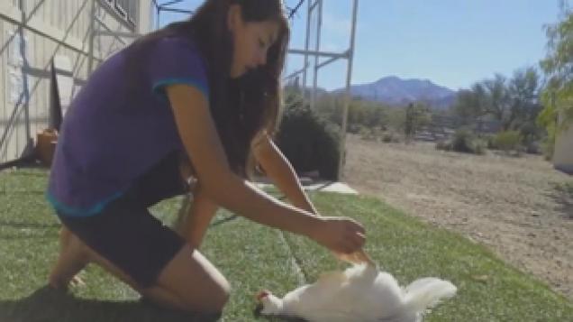 Young Girl Plays With Large White Cock!