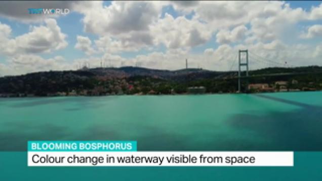Istanbul S Bosphorus Strait And The Black Sea Turns Turquoise Wow Video Ebaum S World