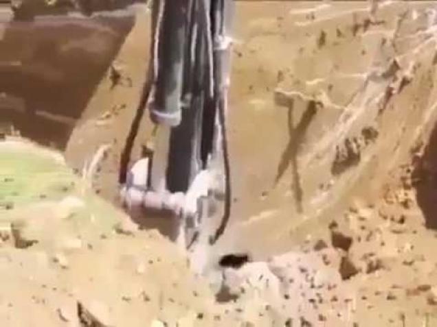 Very terrifying .. See what happens at the end