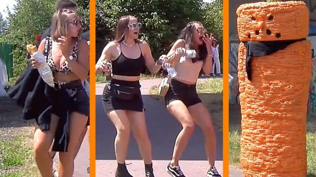 Best Of 1 Year Angry Carrot Prank