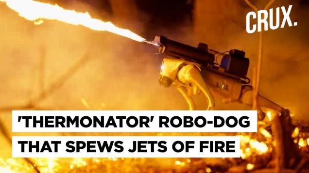 The Thermonator - A flame throwing robot dog that shoots flames of fire 30ft are on sale now!