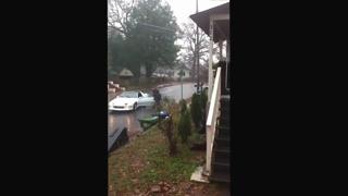 Crazy Girl Jumps on the Hood of the Car - Video | eBaum's World