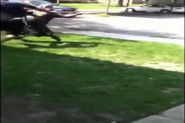 Little Man Fights Much Taller Dude