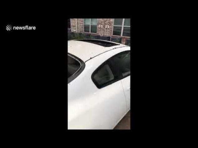 Vicious hail storm in Texas smashes through car windshields - Wow Video ...