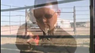 What Happens When You Taser A Bull? - Video | eBaum's World