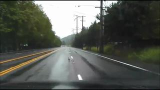 Intense Police Chase With Unexpected End...