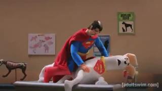 Super dog needs a castration.
