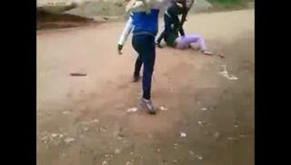 Girls Nasty Fight