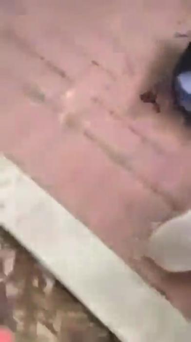 Cop Caught Body Slaming 12yo Girl On Concrete Floor! - Wow Video | eBaum