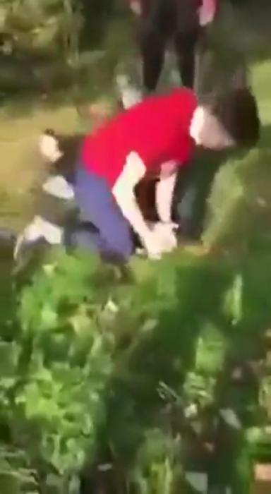 Conor McGregor stops bullying beating on kid