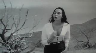 Nothing like a Good Cat Fight