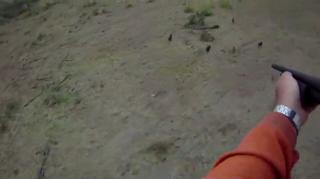 Pig Shooting from Helicopter