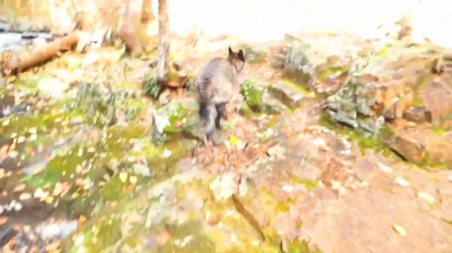 Legend from the Coast of Maine