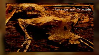 Ancient Alien Artifacts Discovered In Jerusalem