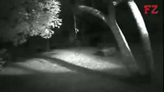Real WEREWOLF Caught on CCTV in Brazil