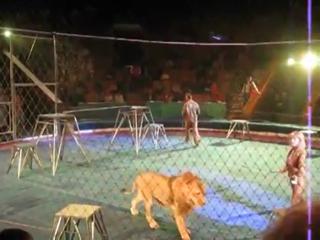 Bad Day At The Circus In Russia
