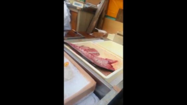 Fish Flops Around After Getting Split In Half!