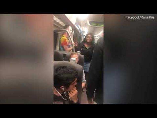 Another karen gets slapped