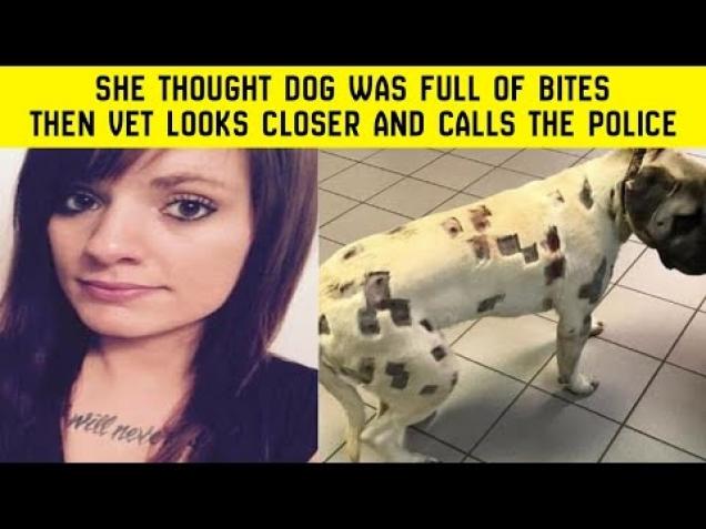 Dog Sounds Like A Tie Fighter