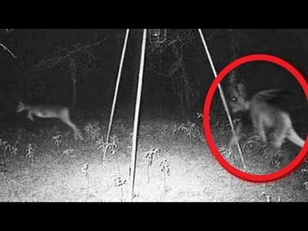 14 OF THE MOST CREEPY URBAN LEGENDS - Video | eBaum's World