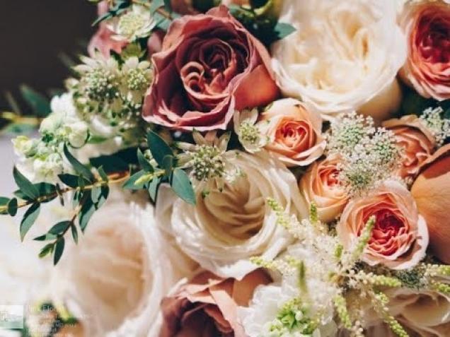 				           florist flowers flower delivery takoma park